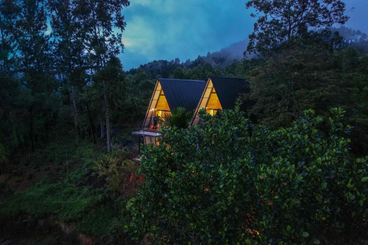 Wild Bee Hostel Ella Exteriér fotografie